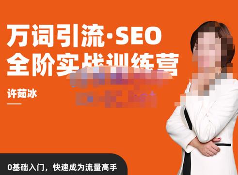许茹冰·万词引流-SEO全阶实战训练营，0基础入门，快速成为流量高手-pcp资源社