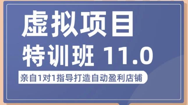 陆明明·虚拟项目特训班（10.0+11.0），0成本获取虚拟素材，0基础打造自动盈利店铺-pcp资源社