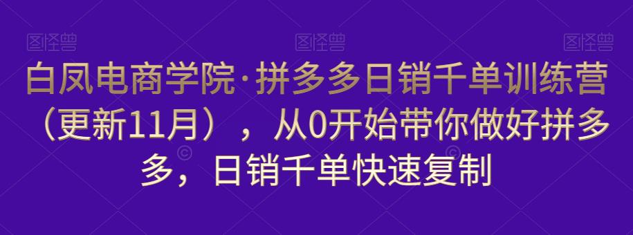 白凤电商学院·拼多多日销千单训练营，从0开始带你做好拼多多，日销千单快速复制（更新知2023年3月）-pcp资源社