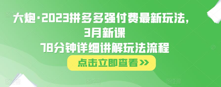 大炮·2023拼多多强付费最新玩法，3月新课​78分钟详细讲解玩法流程-pcp资源社