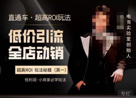 电商冰可乐·直通车·《低价引流·全店动销》，直通车·超高ROI玩法（其一）全店动销必学玩法-pcp资源社