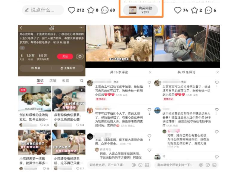 小红书蓝海类赛道：小动物打赏与购买变现副业项目，一条龙玩法分享给你！-pcp资源社