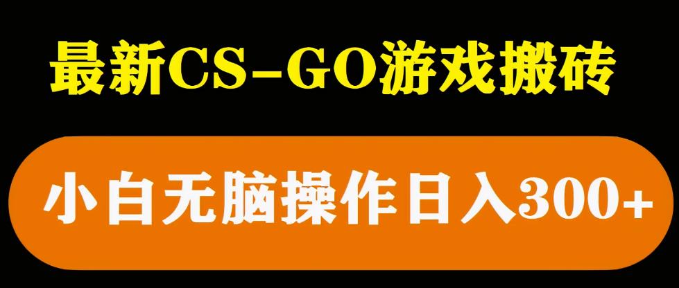 最新csgo游戏搬砖游戏，无需挂机小白无脑也能日入300+-pcp资源社
