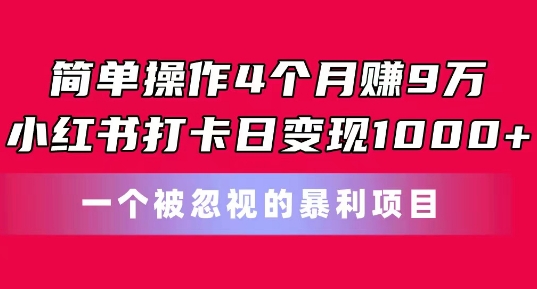 简单操作4个月赚9w，小红书打卡日变现1k，一个被忽视的暴力项目【揭秘】-pcp资源社
