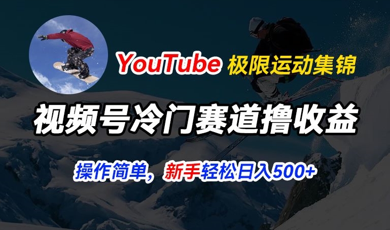 视频号冷门赛道撸收益，YouTube搬运极限运动集锦，暴力起号，操作简单流量高，轻松日入5张【揭秘】-pcp资源社