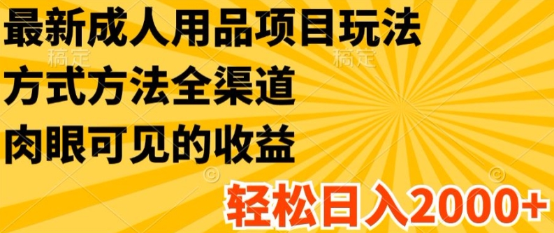 最新成人用品项目玩法，方式方法全渠道，轻松日入2K+【揭秘】-pcp资源社