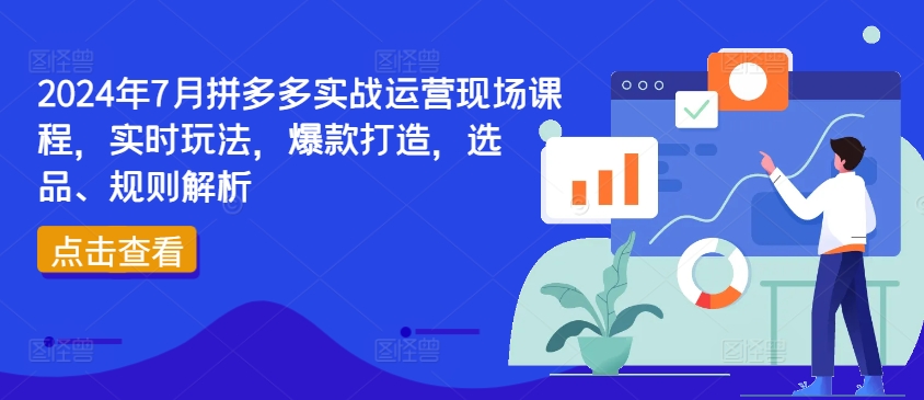 2024年7月拼多多实战运营现场课程，实时玩法，爆款打造，选品、规则解析-pcp资源社