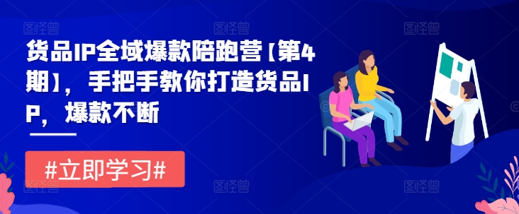 货品IP全域爆款陪跑营【第4期】，手把手教你打造货品IP，爆款不断-pcp资源社