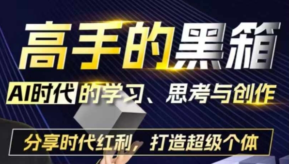 高手的黑箱：AI时代学习、思考与创作-分红时代红利，打造超级个体-pcp资源社
