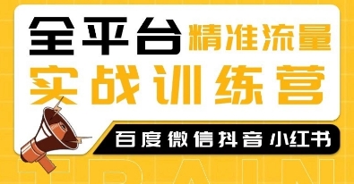 全平台精准流量实战训练营，百度微信抖音小红书SEO引流教程-pcp资源社