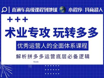 术业专攻玩转多多，优秀运营人的全面体系课程，解析拼多多运营底层必备逻辑-pcp资源社