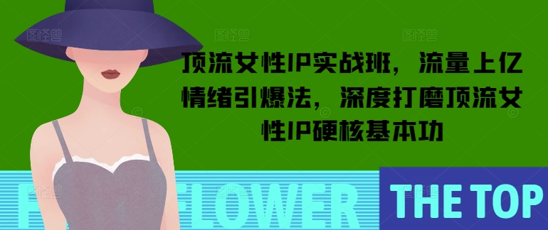 顶流女性IP实战班，流量上亿情绪引爆法，深度打磨顶流女性IP硬核基本功-pcp资源社