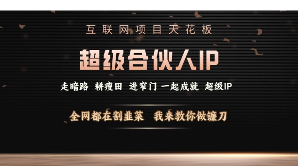 互联网项目天花板，超级合伙人IP，全网都在割韭菜，我来教你做镰刀【仅揭秘】-pcp资源社