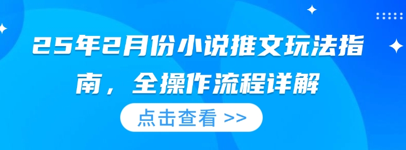 25年2月份小说推文玩法指南，全操作流程详解-pcp资源社