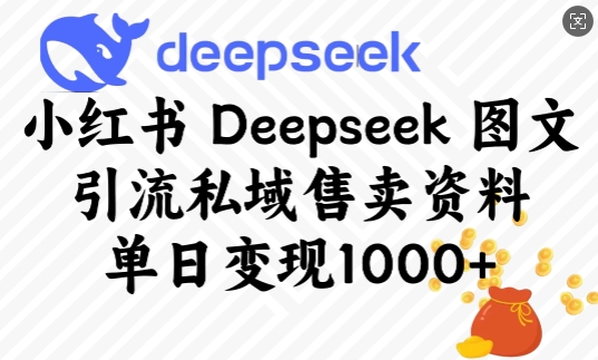 小红书Deepseek图文引流私域售卖资料，单日变现多张-pcp资源社