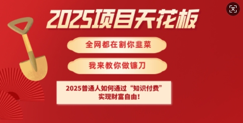 2025项目天花板普通人如何通过知识付费，实现财F自由【揭秘】-pcp资源社