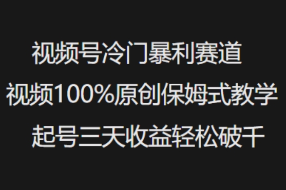 视频号冷门暴利赛道视频100%原创保姆式教学起号三天收益轻松破千-pcp资源社