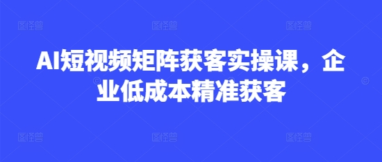AI短视频矩阵获客实操课，企业低成本精准获客-pcp资源社