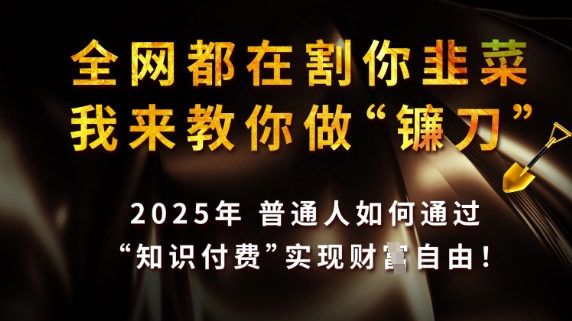 全网都在割你韭菜，我来教你做镰刀，2025普通人如何通过知识付费，实现财F自由【揭秘】-pcp资源社