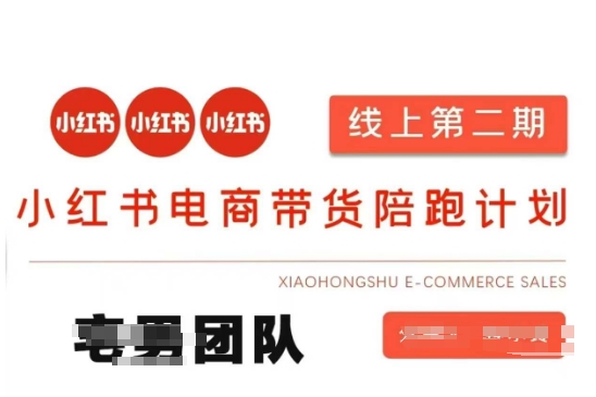 小红书电商带货课2期，月利润20个的小红书电商的有货源，无货源，虚拟产品，付费投流等整套玩法-pcp资源社