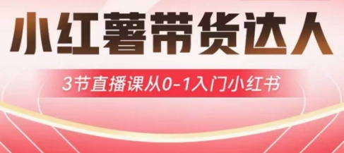 小红薯达人带货启航计划，3节直播课从0-1入门小红书-pcp资源社