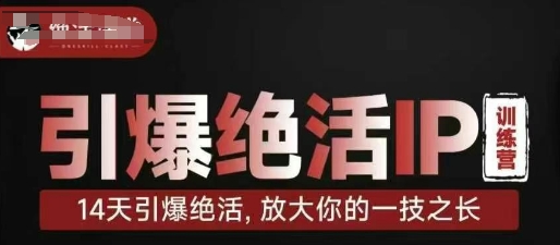 引爆绝活IP训练营，14天引爆绝活，放大你的一技之长-pcp资源社