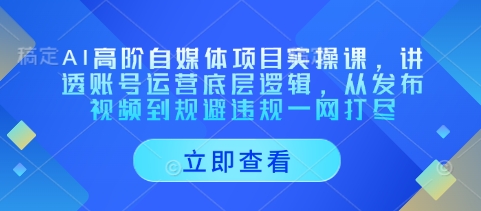 AI高阶自媒体项目实操课，讲透账号运营底层逻辑，从发布视频到规避违规一网打尽-pcp资源社