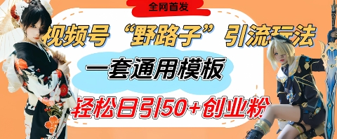 视频号“野路子”玩法，评论区疯狂截流，一套模板单日单号引流50+创业粉-pcp资源社