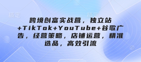 跨境创富实战营，独立站+TikTok+YouTube+谷歌广告，经营策略，店铺运营，精准选品，高效引流-pcp资源社