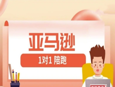 亚马逊1对1陪跑课(FBA/FBM精铺)跨境亚马逊教程-pcp资源社