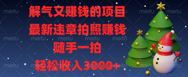 解气又挣钱的项目，最新违章拍照挣钱，随手一拍，轻松收入数张【揭秘】-pcp资源社