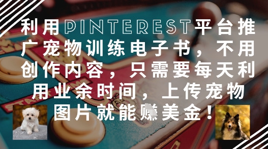 利用Pinterest平台推广宠物训练电子书，不用创作内容，只需要每天利用业余时间，上传宠物图片就能挣美金!-pcp资源社