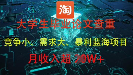 大学生毕业论文查重，暴利蓝海项目，月收入过1W+-pcp资源社