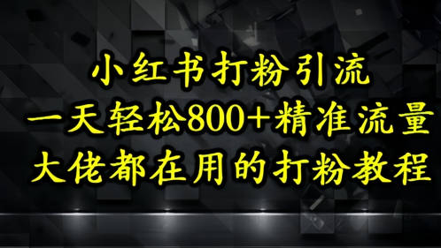 小红书打粉引流，一天轻松500+精准流量，大佬都在用的打粉教程-pcp资源社