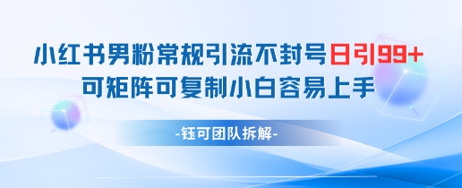 小红书男粉常规引流不封号日引99+变现简单 可矩阵可复制小白容易上手-pcp资源社