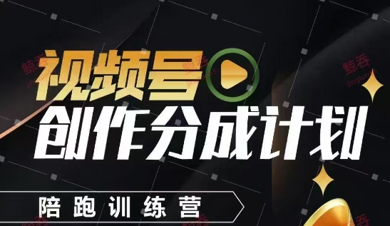 视频号创作分成计划陪跑训练营，手把手教会你如何制作视频，细水长流型项目-pcp资源社