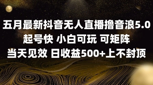 2025五月最新无人直播撸音浪单日产出5张+实操教程【揭秘】-pcp资源社