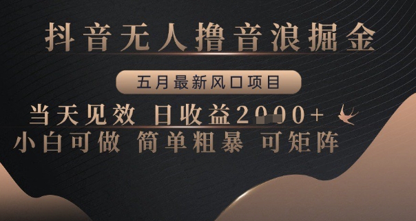 抖音无人撸音浪掘金，五月最新风口项目，当天见效，日收益多张，小白可做简单粗暴可矩阵【揭秘】-pcp资源社