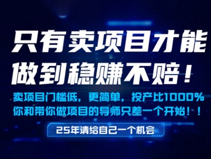 只有卖项目才能做到稳挣不赔，门槛低，更简单，你也可以年入百个W【揭秘】-pcp资源社