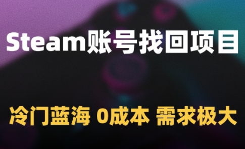 Steam账号找回项目，冷门蓝海，0成本，需求极大-pcp资源社