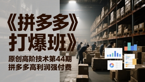 《拼多多打爆班》原创高阶技术第44期，拼多多高利润强付费-pcp资源社