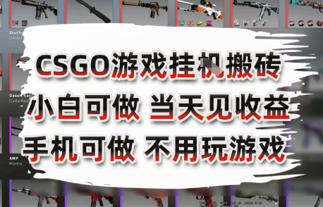 CSGO游戏挂G搬砖，小白纯手机即可操作，不用电脑打游戏，日入3张+，副业网创项目【揭秘】-pcp资源社