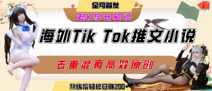 海外tiktok小说推文暴力项目，高停留率，高转化率，上手后一天搞顿饭钱不是问题-pcp资源社