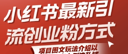 小红书最新引流创业粉方式，项目图文玩法介绍以及如何安全倒流私域-pcp资源社
