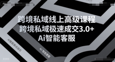 跨境私域线上高级课程，跨境私域极速成交3.0+Ai智能客服-pcp资源社