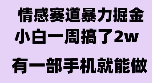 情感暴力掘金项目，新人操作一周挣了2W，长期稳定小白可做【揭秘】-pcp资源社