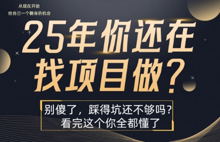 25年，你还在疯狂的找项目吗？别傻了，看完这个你都懂了【揭秘】-pcp资源社