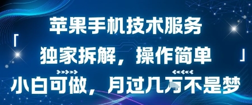 苹果手机技术服务，独家拆解，操作简单，小白可做，月过1W不是梦-pcp资源社