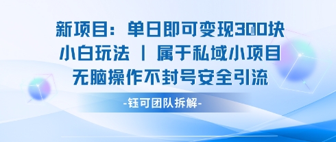 新项目单日即可变现3张的小白玩法无脑操作不封号安全引流-pcp资源社