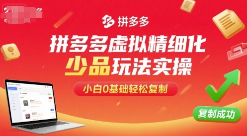 拼多多虚拟精细化少品玩法实操，小白0基础轻松复制-pcp资源社